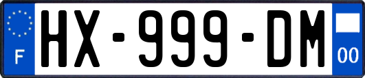 HX-999-DM