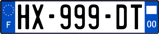 HX-999-DT