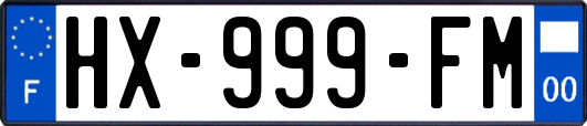 HX-999-FM