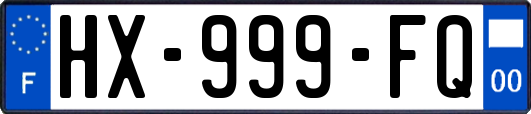 HX-999-FQ