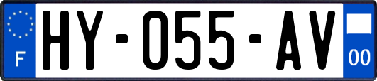 HY-055-AV