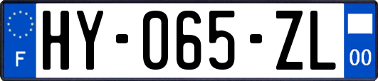 HY-065-ZL