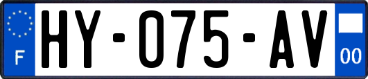 HY-075-AV