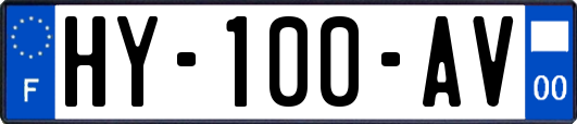 HY-100-AV