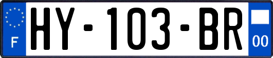 HY-103-BR