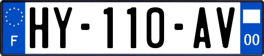 HY-110-AV