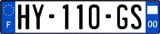 HY-110-GS