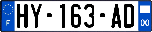 HY-163-AD