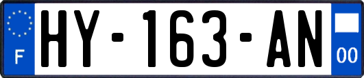 HY-163-AN