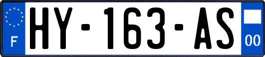 HY-163-AS