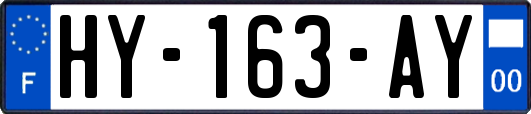 HY-163-AY