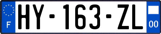 HY-163-ZL