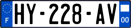 HY-228-AV