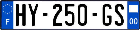 HY-250-GS