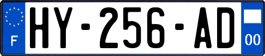 HY-256-AD
