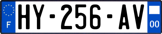 HY-256-AV