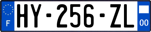 HY-256-ZL
