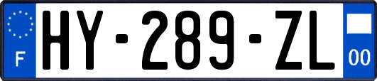HY-289-ZL