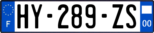 HY-289-ZS