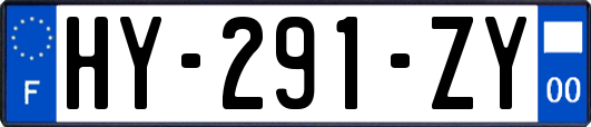 HY-291-ZY
