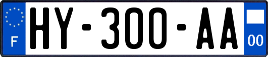 HY-300-AA