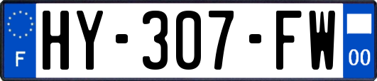 HY-307-FW