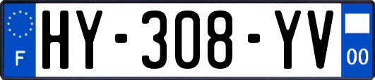 HY-308-YV