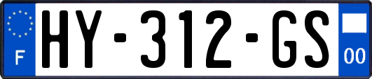 HY-312-GS