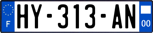 HY-313-AN