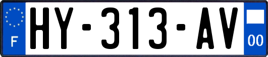 HY-313-AV