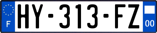 HY-313-FZ