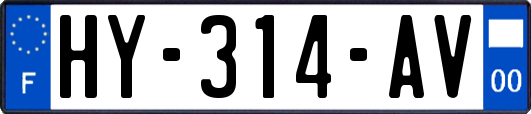 HY-314-AV