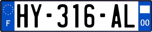 HY-316-AL
