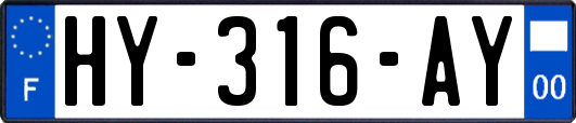 HY-316-AY