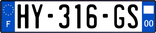 HY-316-GS