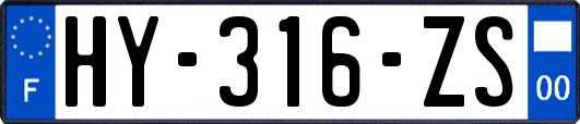 HY-316-ZS