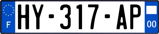 HY-317-AP