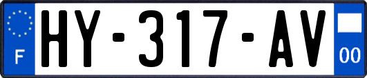 HY-317-AV