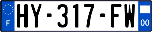 HY-317-FW