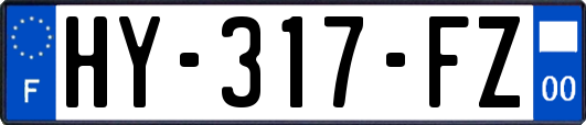 HY-317-FZ