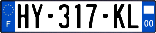 HY-317-KL