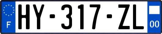 HY-317-ZL