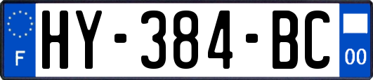 HY-384-BC