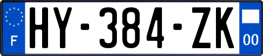 HY-384-ZK