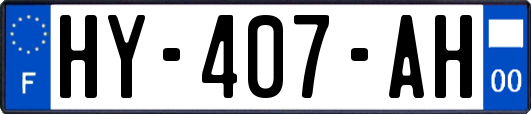 HY-407-AH