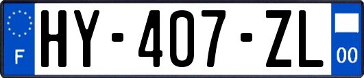 HY-407-ZL