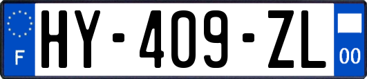 HY-409-ZL