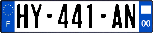 HY-441-AN