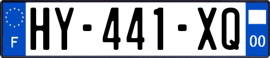 HY-441-XQ