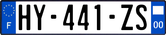 HY-441-ZS